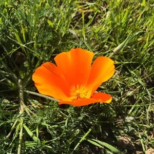 Meet your Posher, Jennie